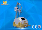 चीन Cryo Fat Dissolved Weight Loss Coolsculpting Cryolipolysis Machine फैक्टरी